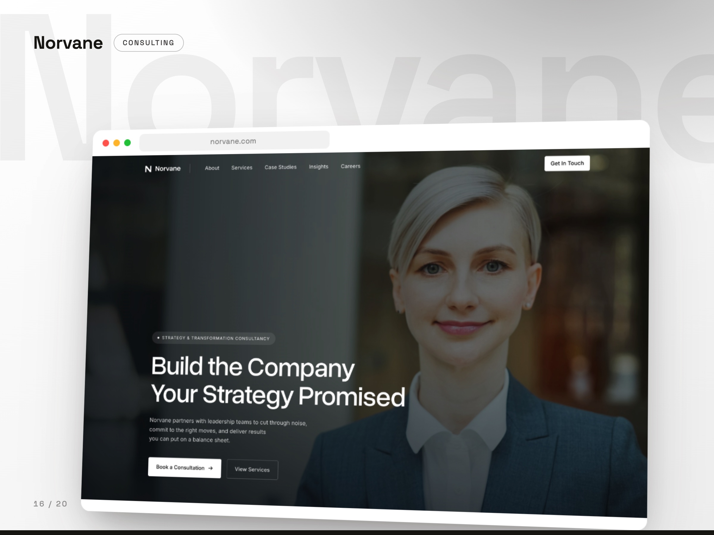 Norvane concept website, Consulting