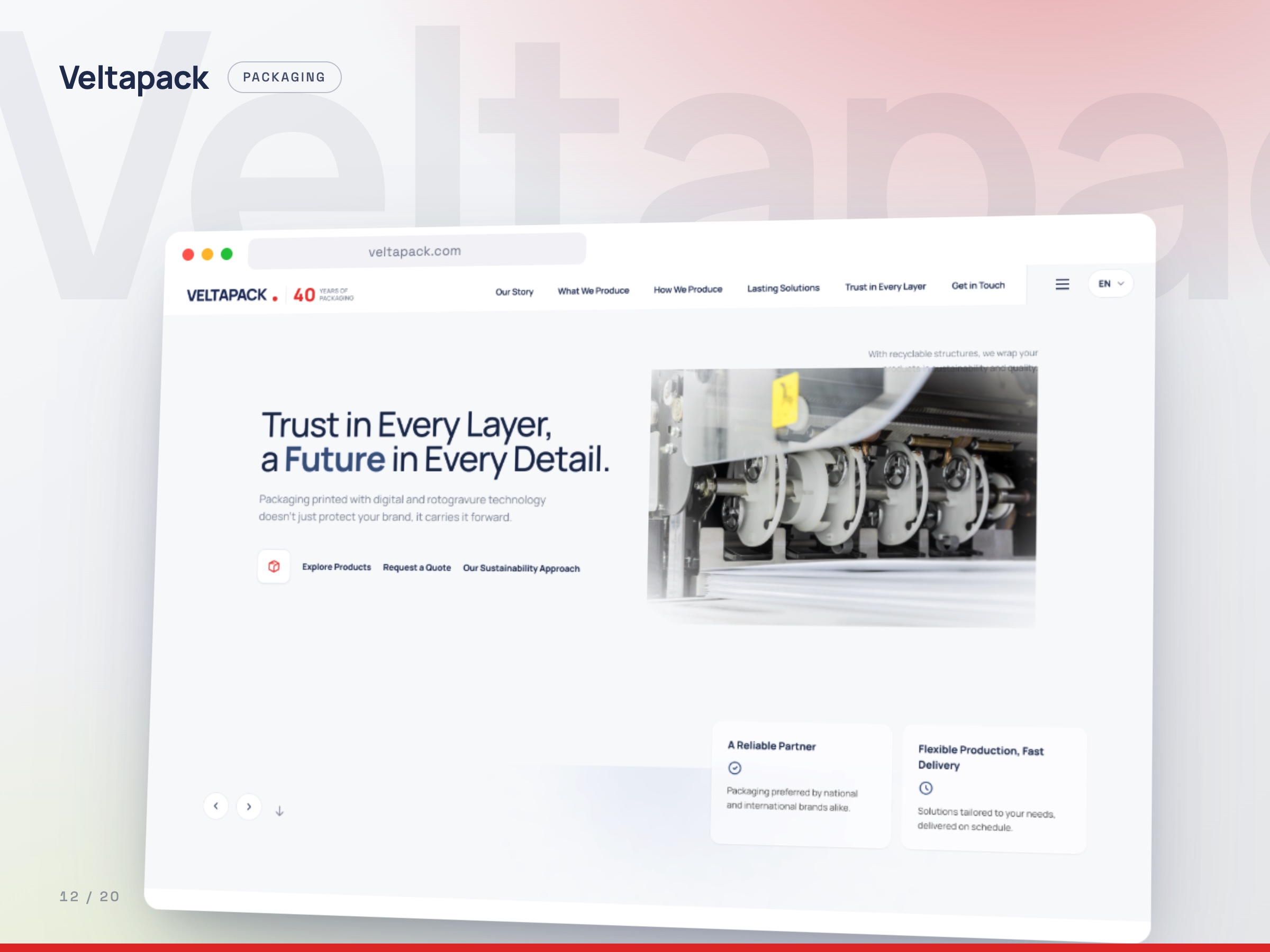 Veltapack concept website, Packaging